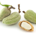 HUILE PARFUMÉE ( huile d’amande douce de première pression) Charme d'orient