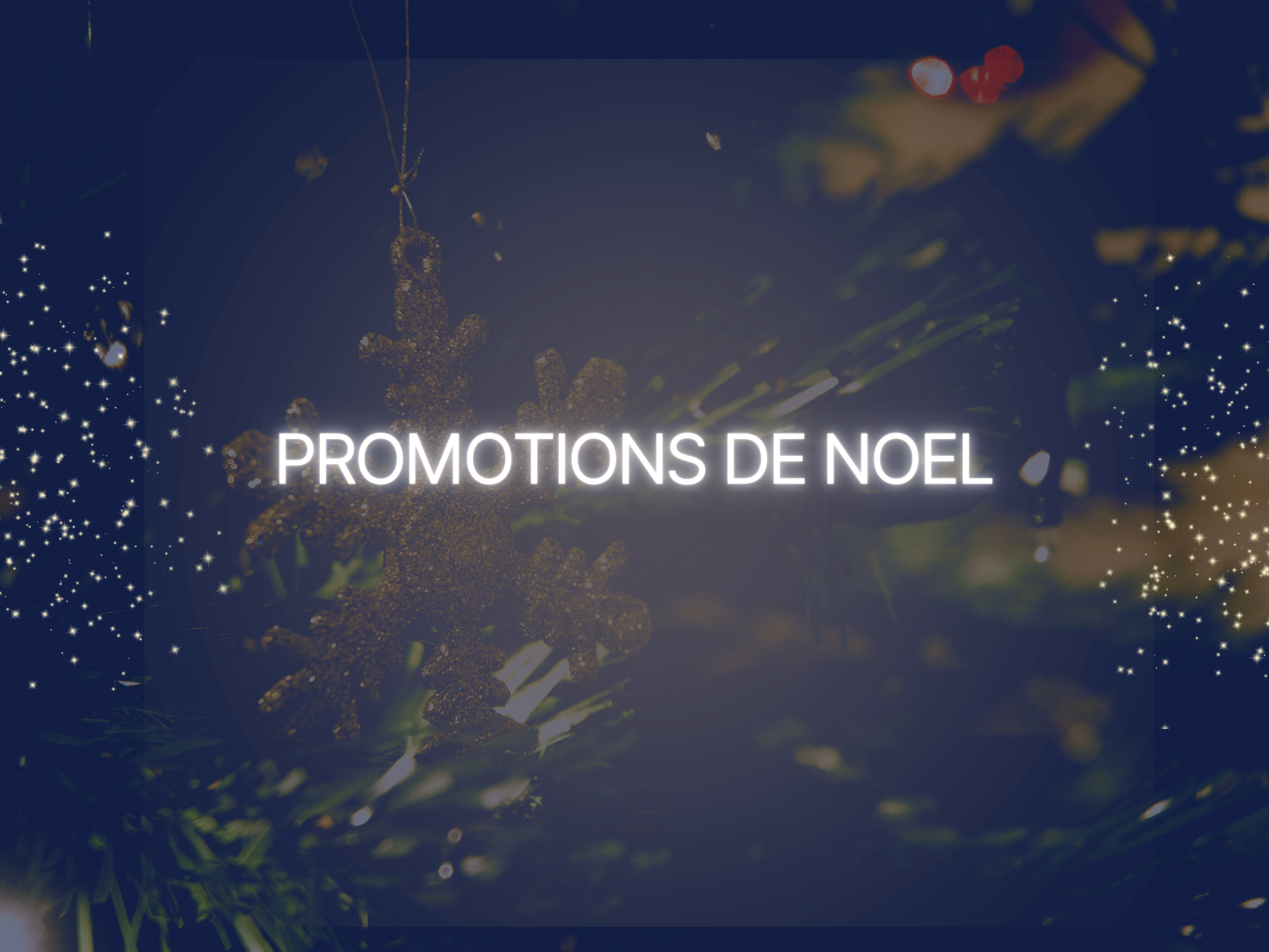 Promotions de Noël